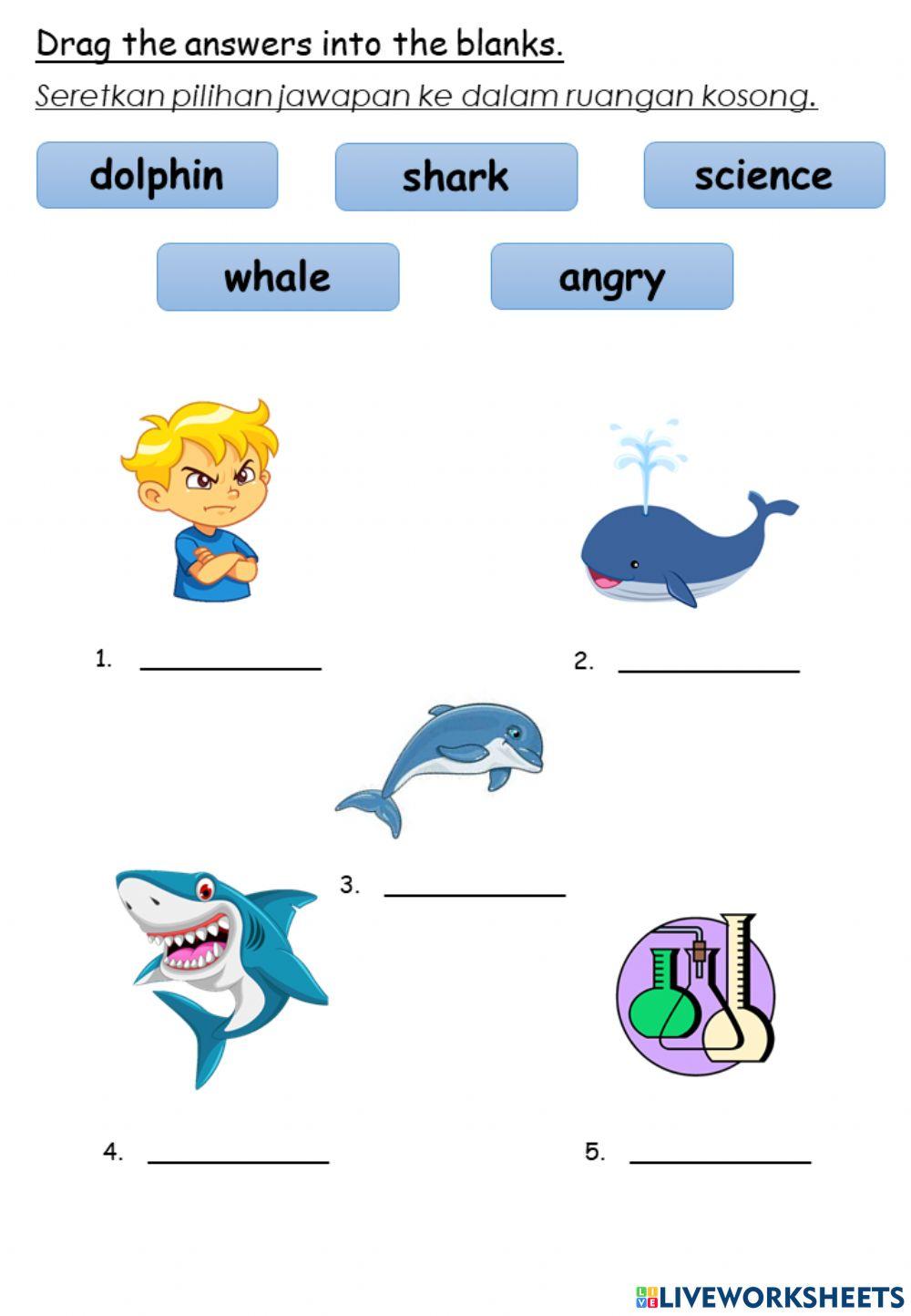 English Year 3 Unit 10 The World Around Us Smart Kids Vocabulary