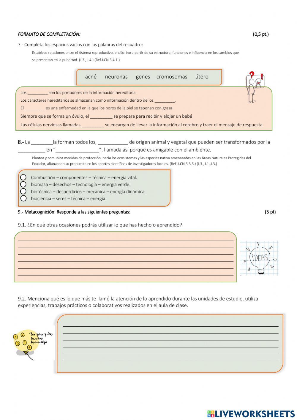 Prueba Quimestral CCNN