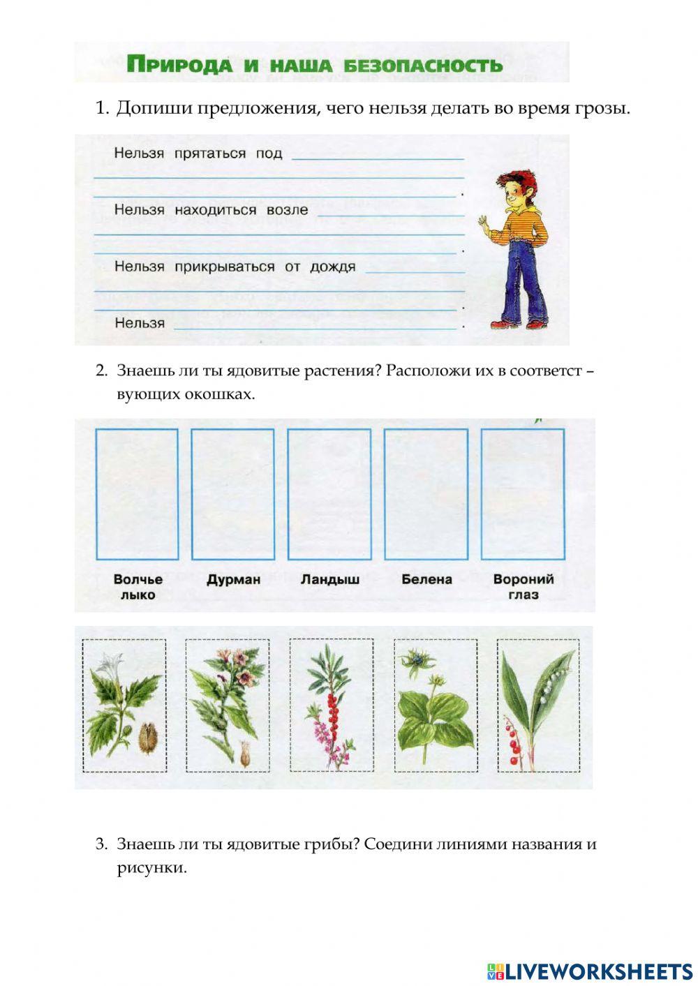 Природа и наша безопасность