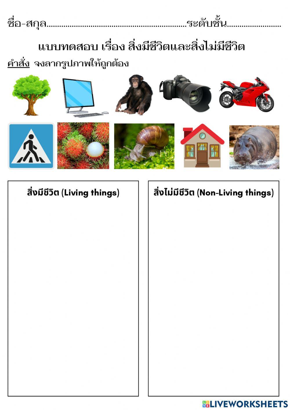 สิ่งมีชีวิตและสิ่งไม่มีชีวิต