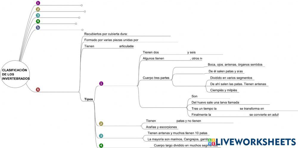 Animales invertebrados 1