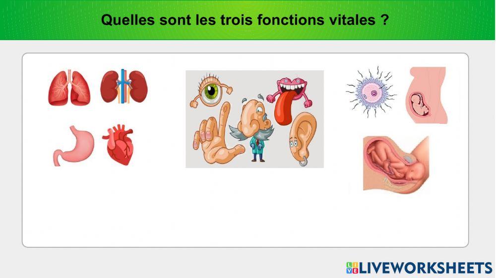 Interaction et santé