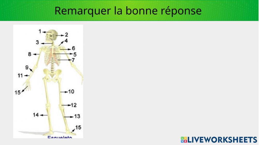 Interaction et santé