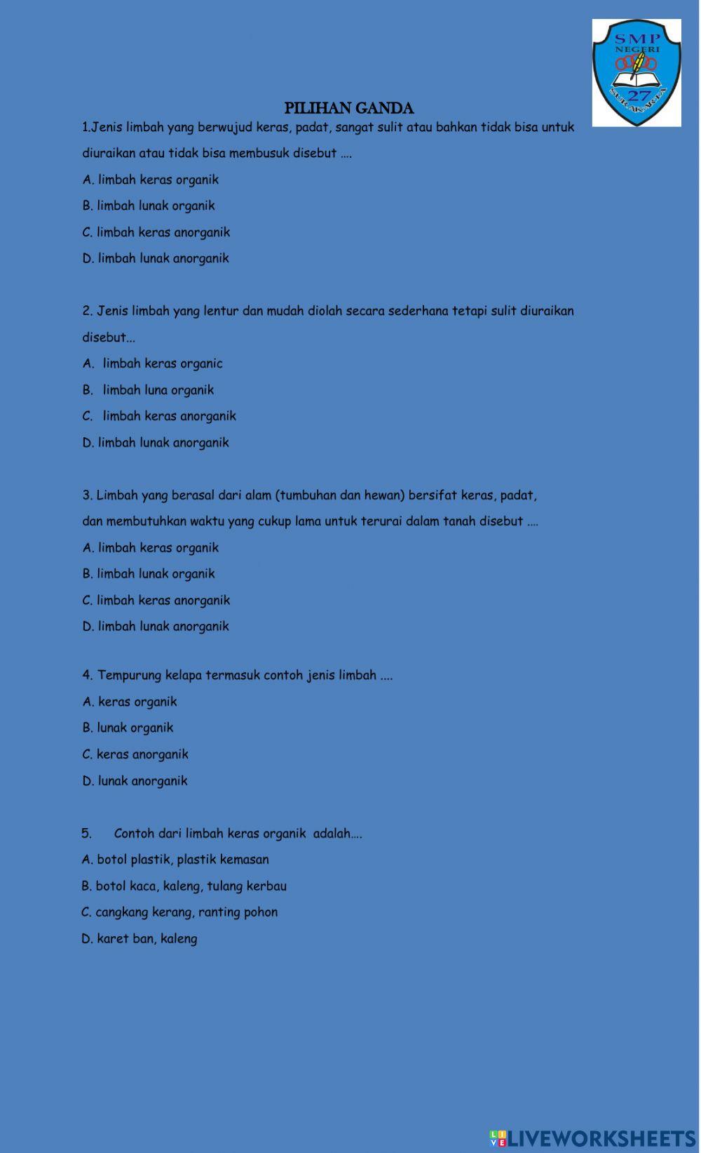 Kerajinan bahan limbah lunak