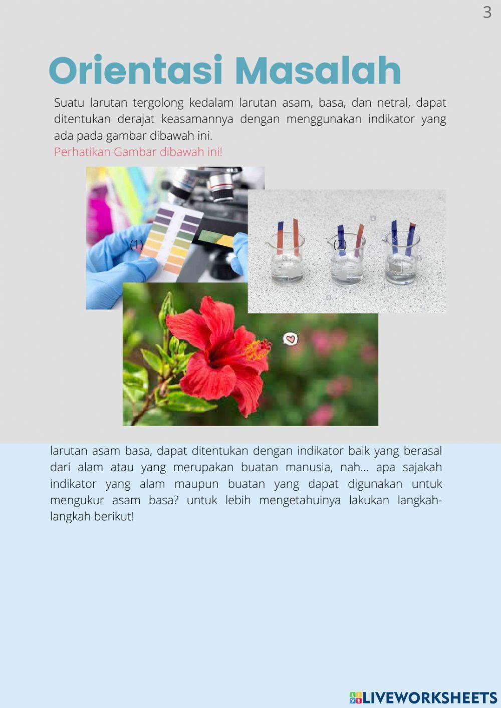 E-LKPD INDIKATOR ASAM BASA