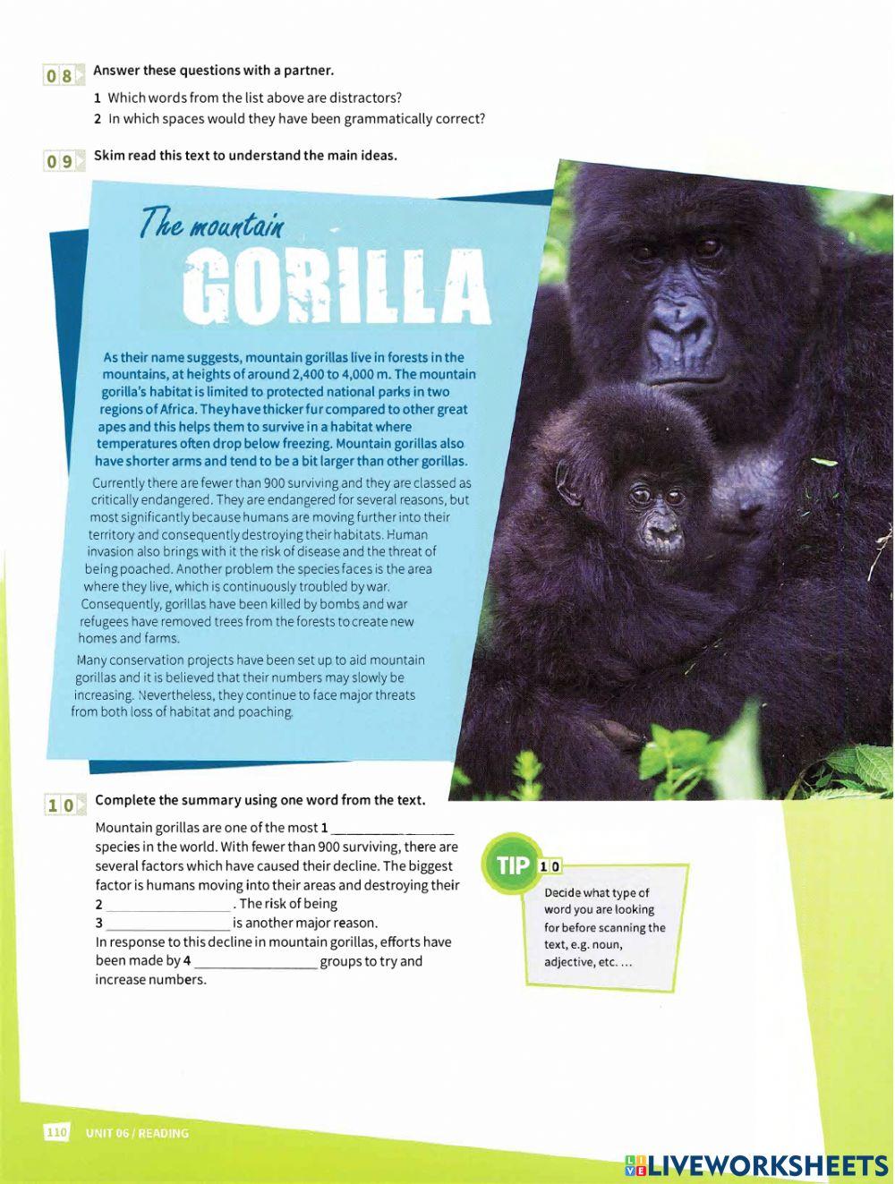 Mindset 2 - Reading Unit 6