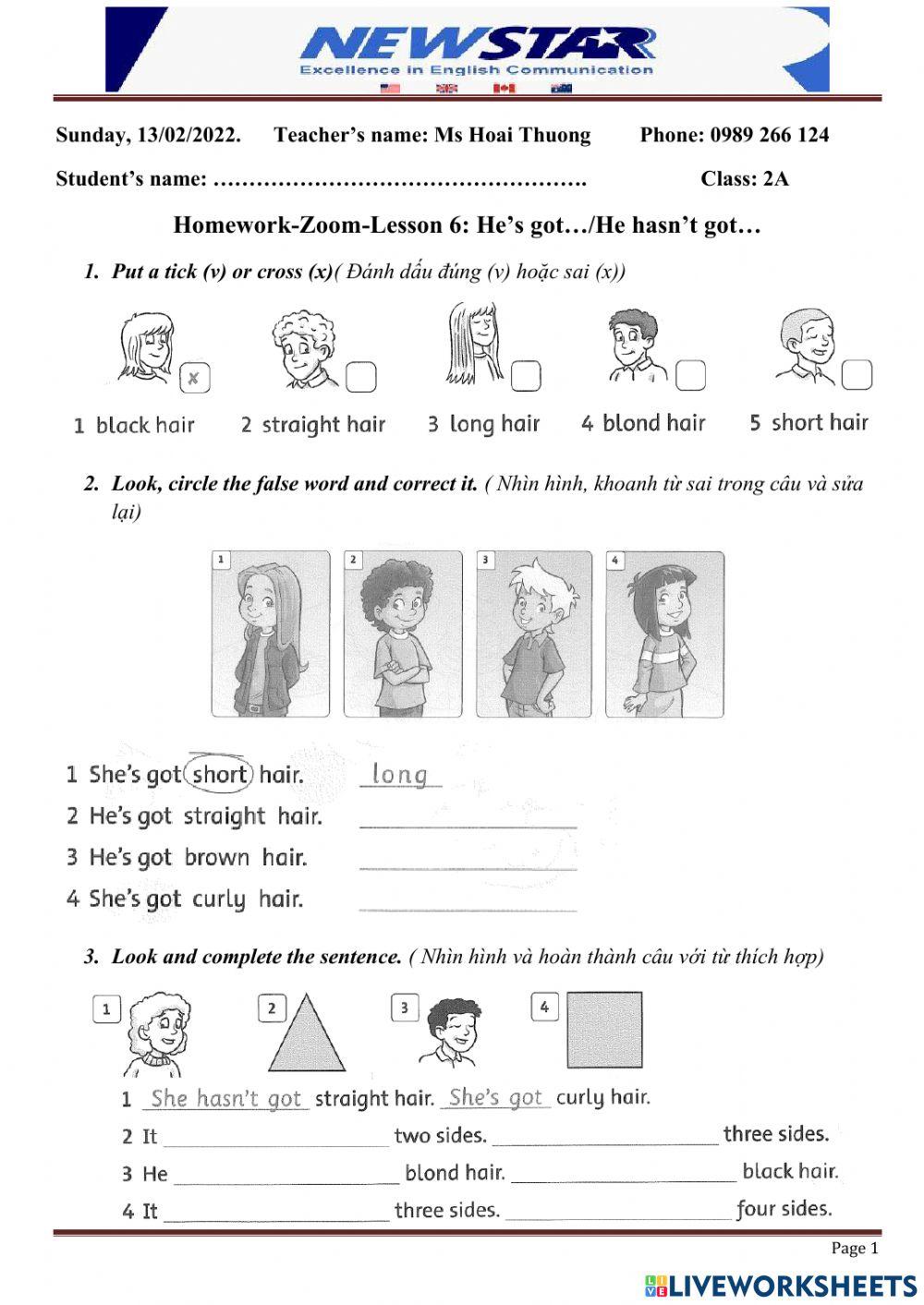 HW L6. He has got...2A (zoom)