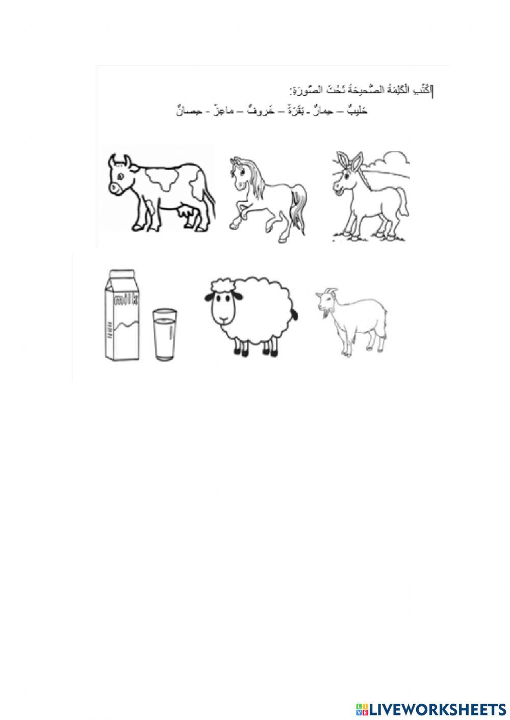 Farm animals