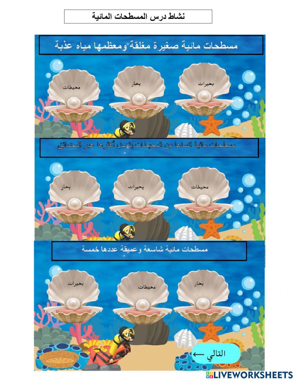 المسطحات المائية