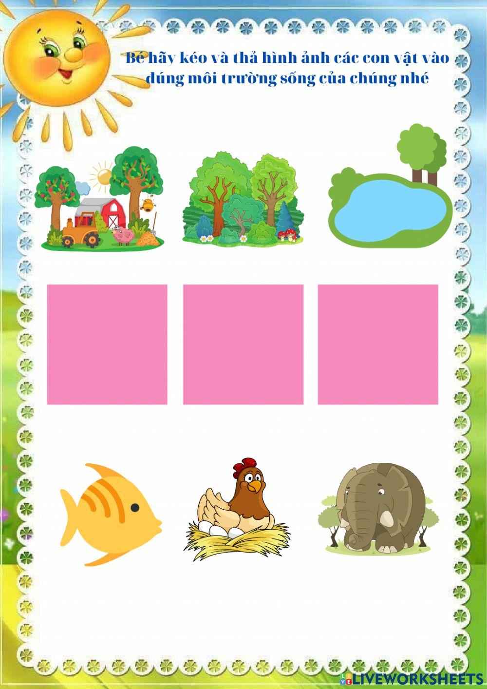 Bài tập ôn luyện