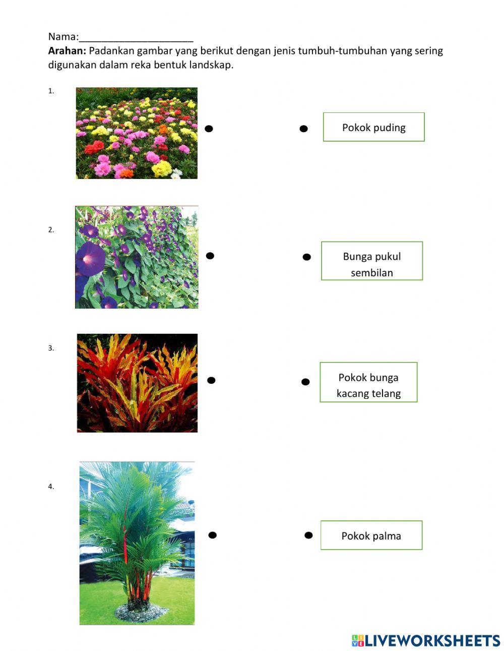 Elemen Tumbuh-tumbuhan