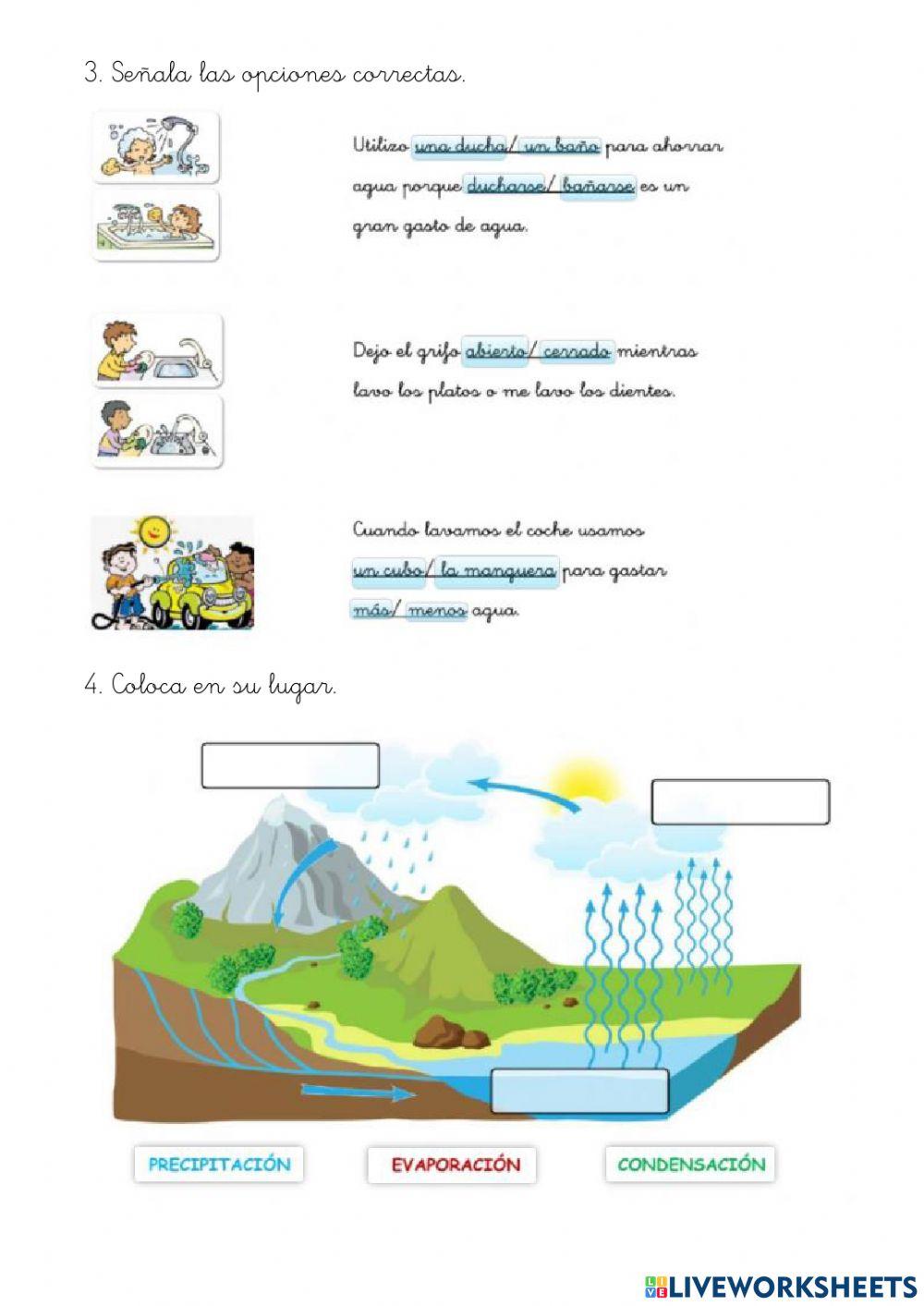 El paisaje y el agua