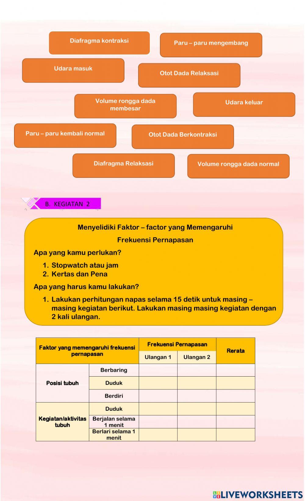 Mekanisme Pernapasan