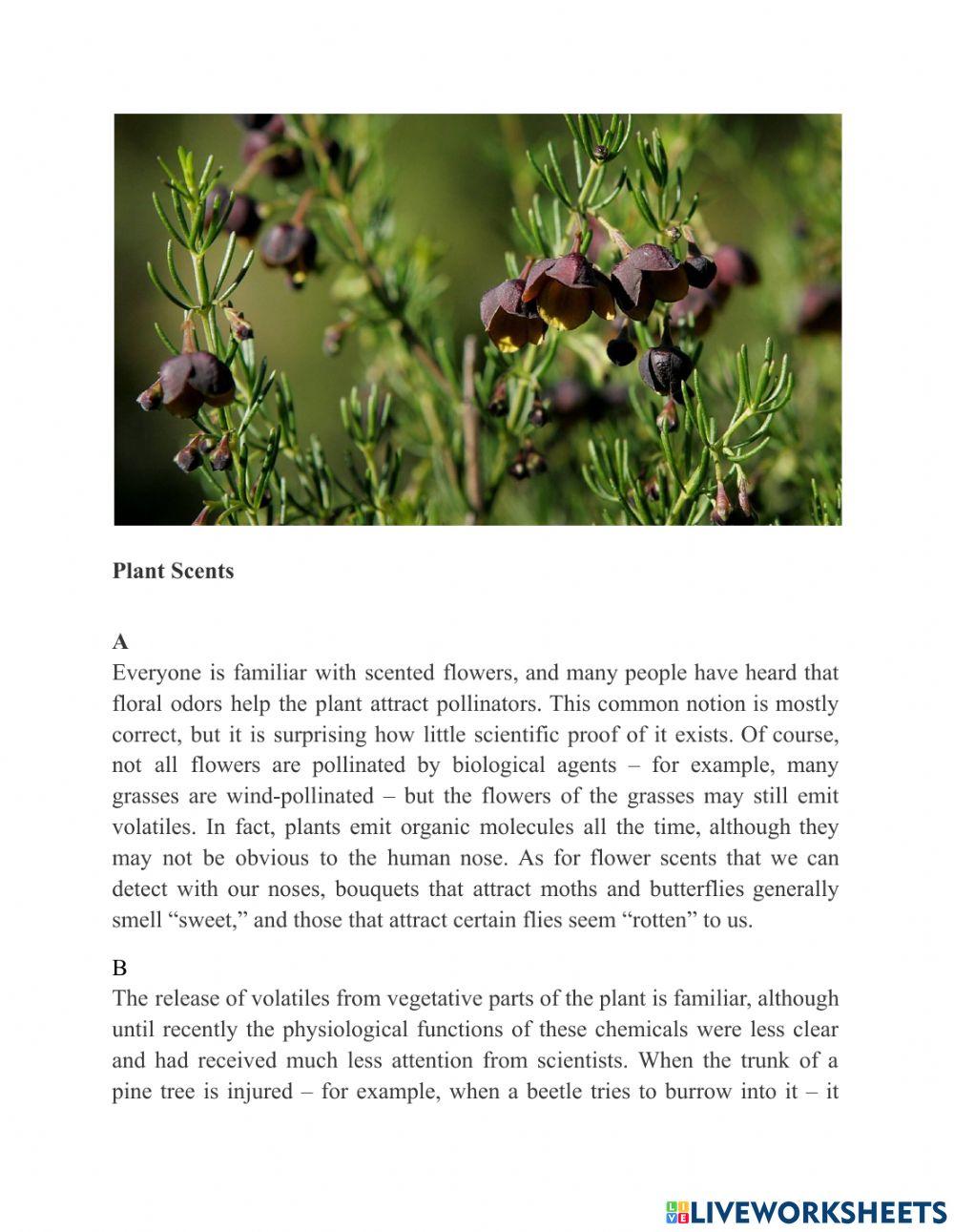 Reading - actual test - passage 1 - 34301