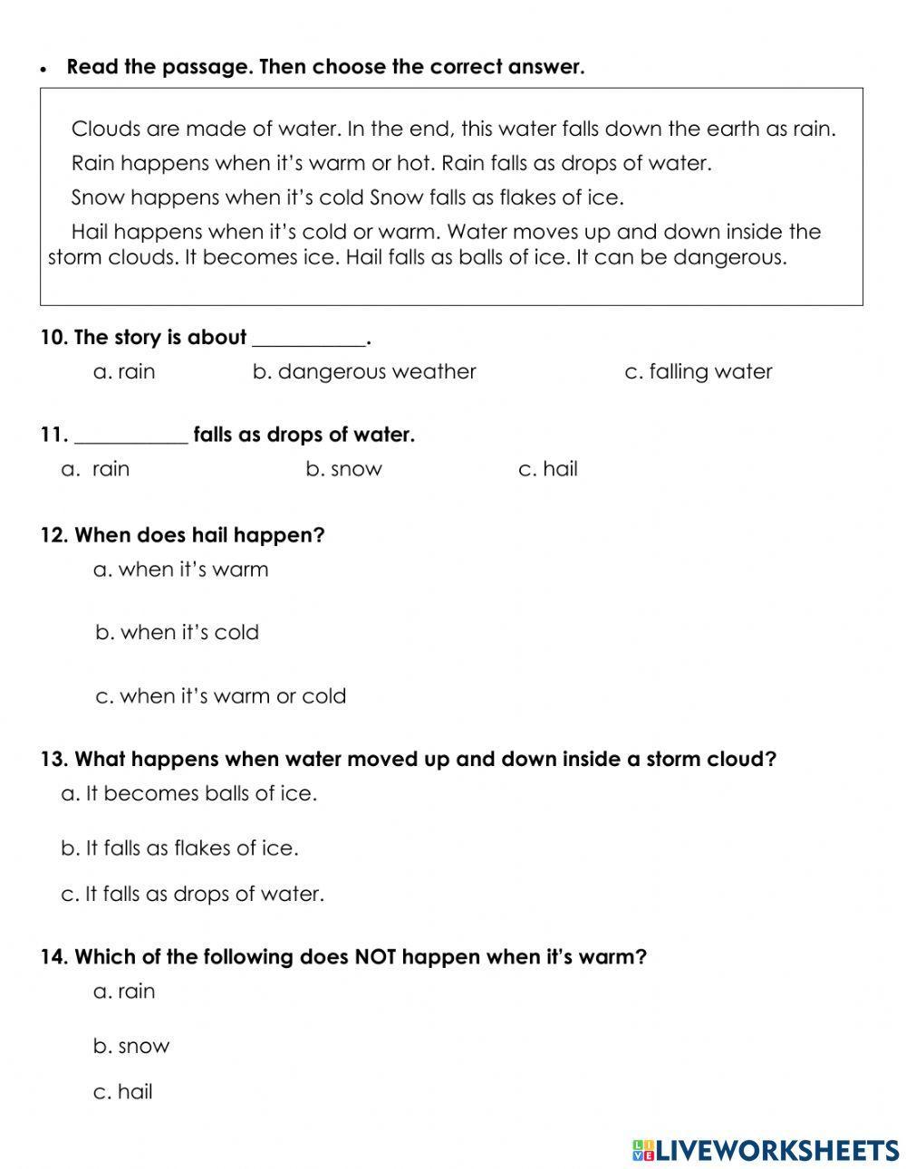 RF Discover Unit 3 Comprehension
