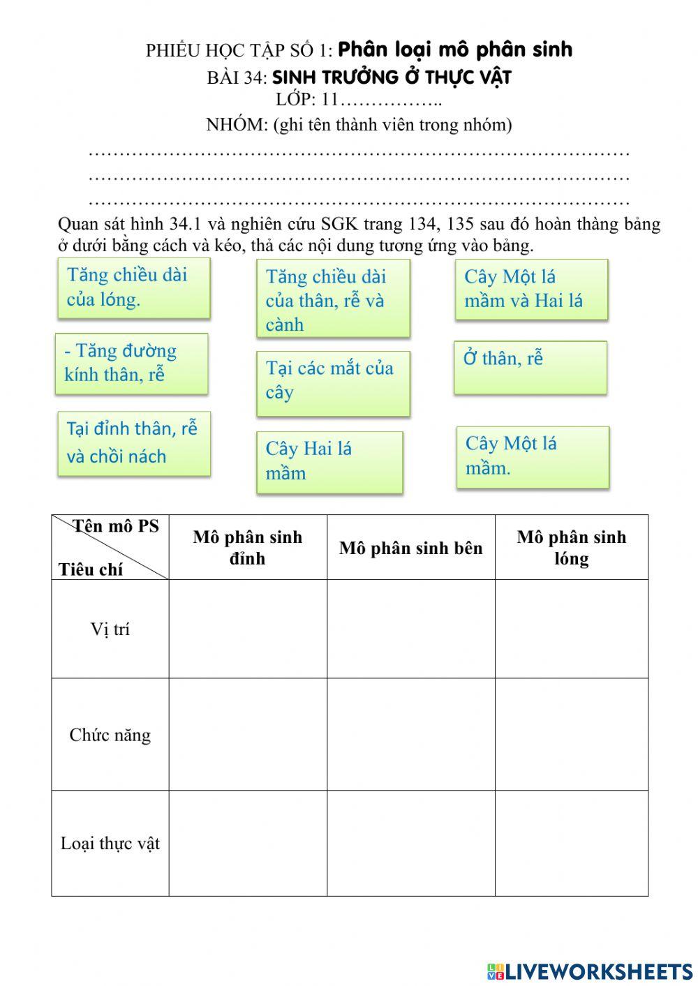 Sinh trưởng ở thực vật