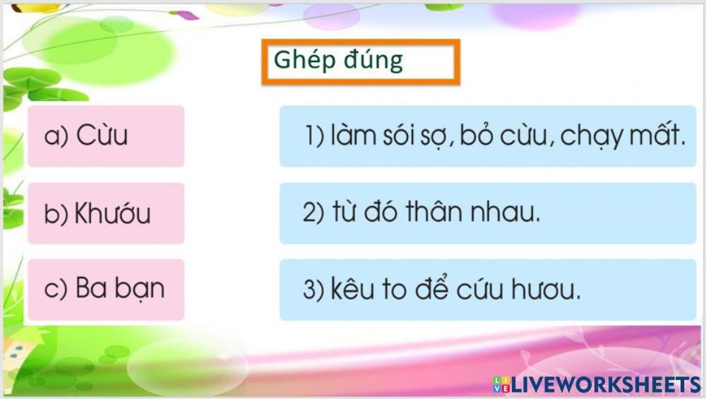 Phiếu bài tập