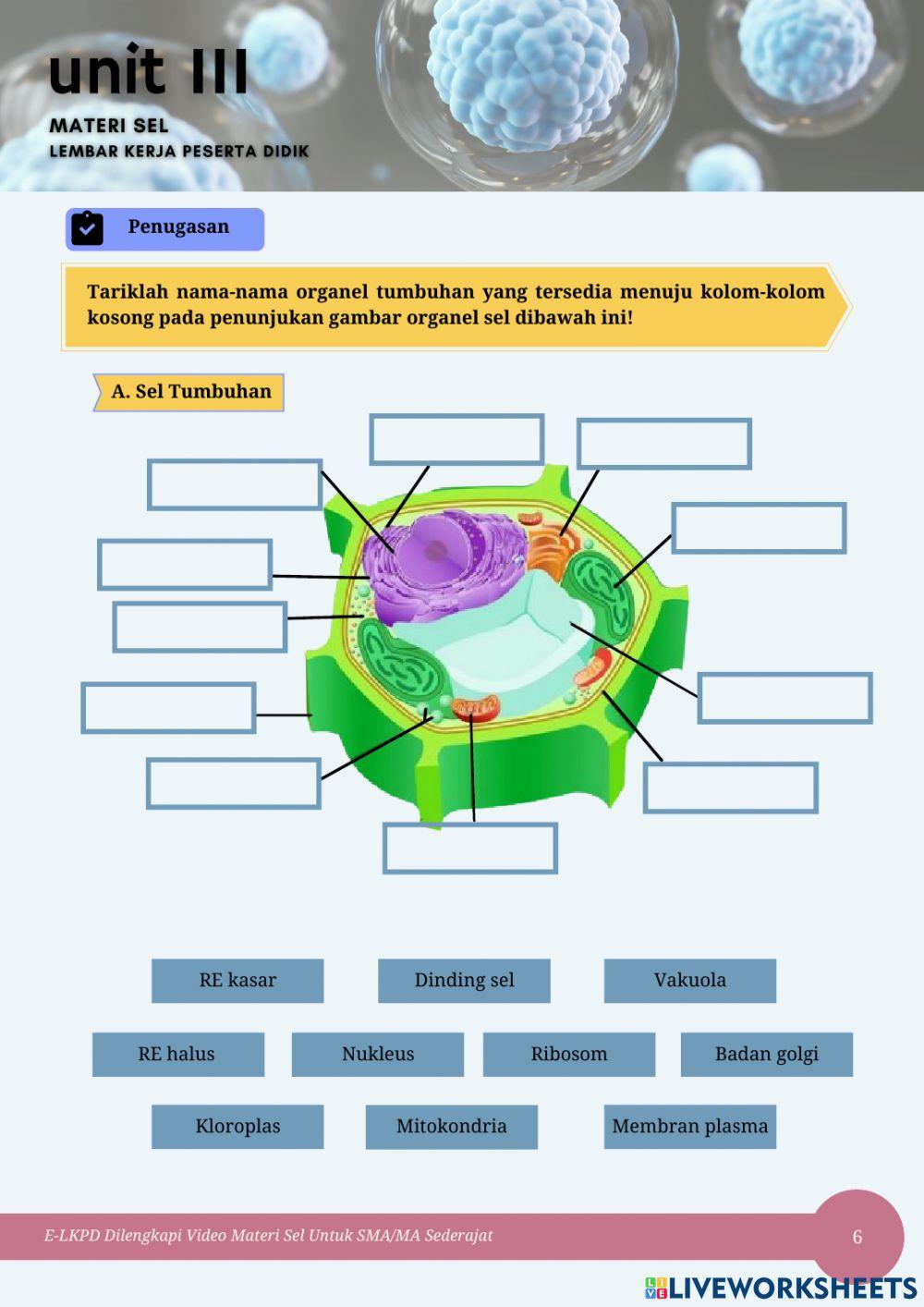 E-LKPD Materi Sel Unit 3