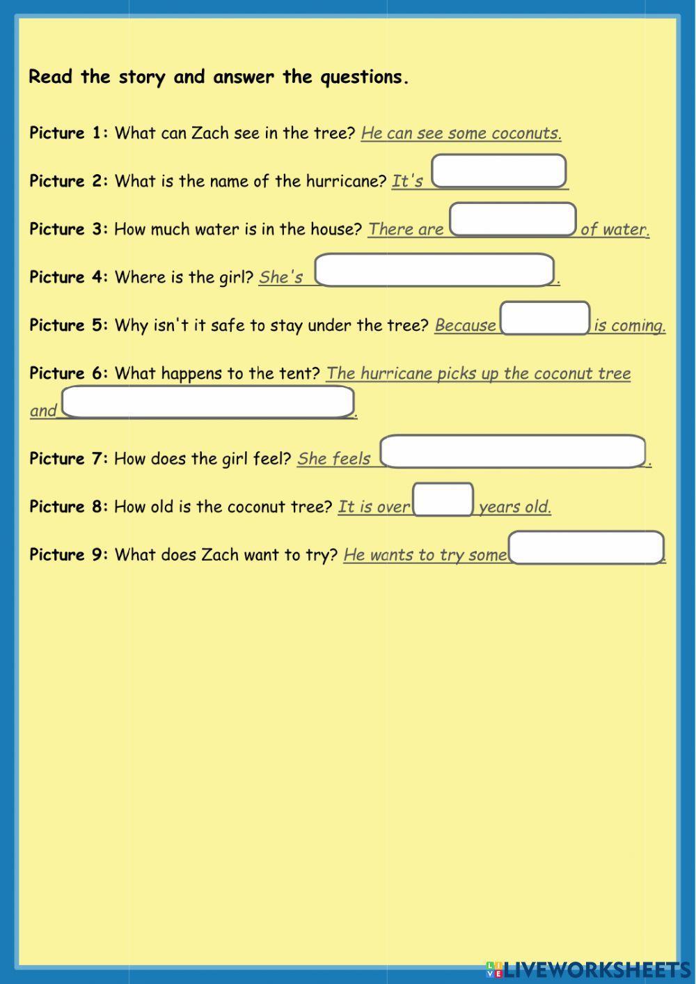 The Hurricane and the coconut tree