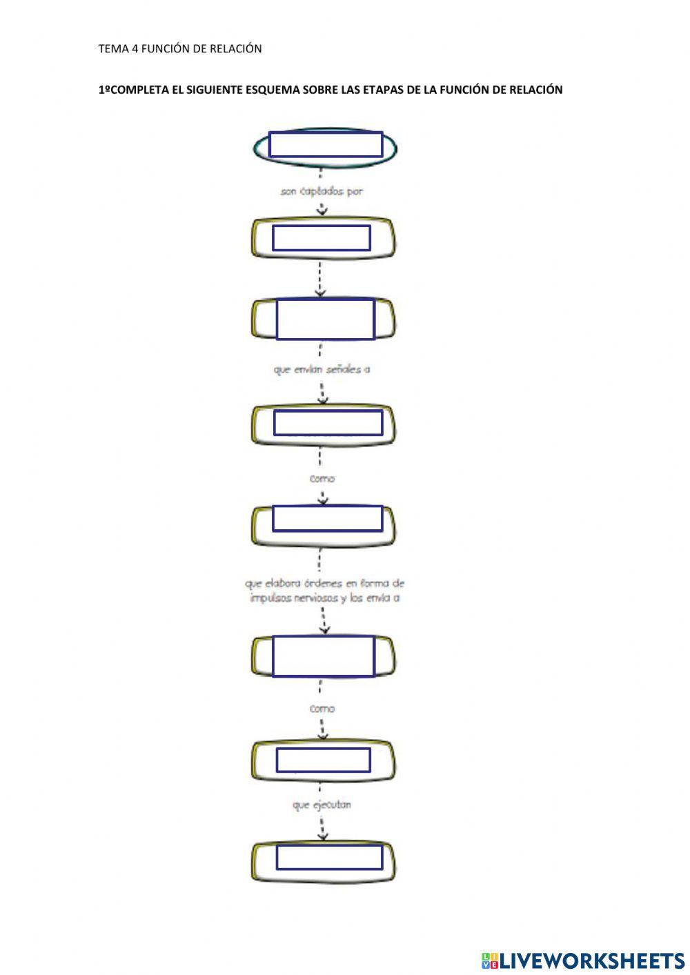 Función de relación
