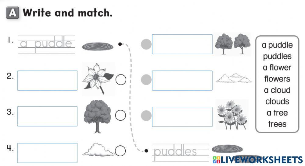 Write and match 14 February 2022
