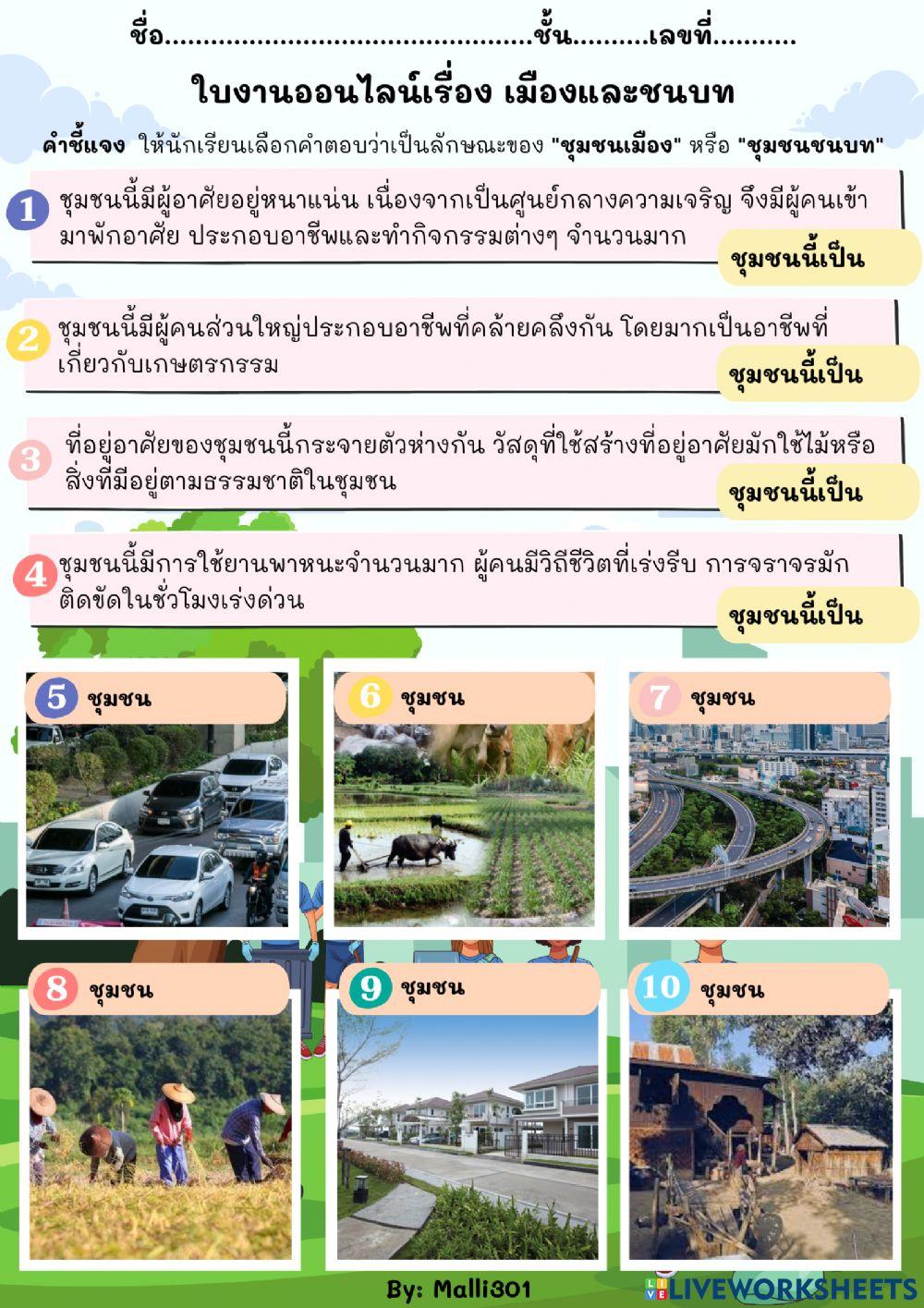 ใบงานออนไลน์เรื่อง เมืองและชนบท