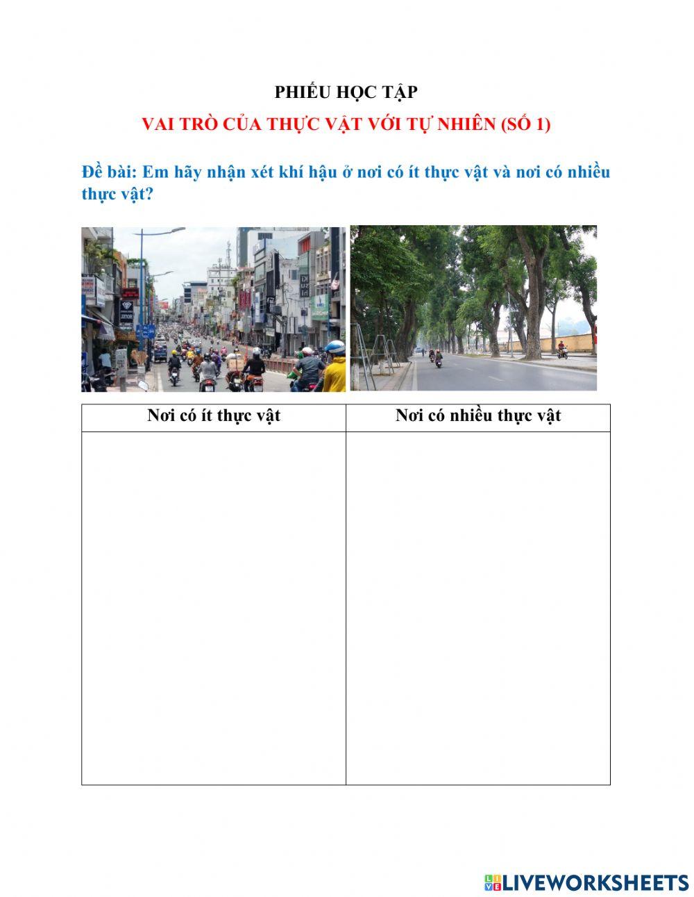 Vai trò điều hòa khí hậu của thực vật