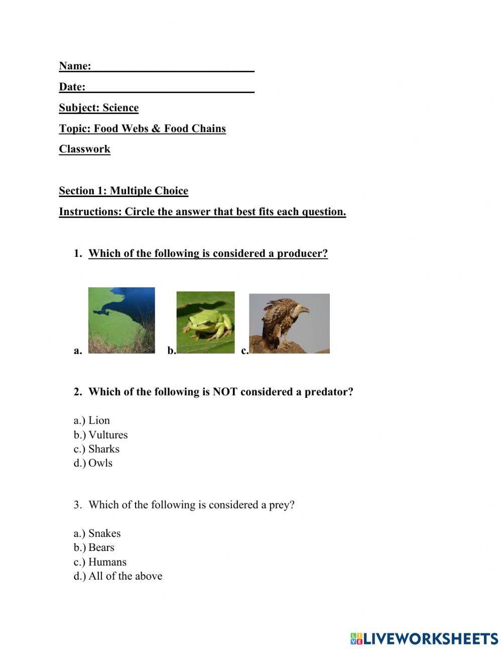 Food Webs & Food Chains