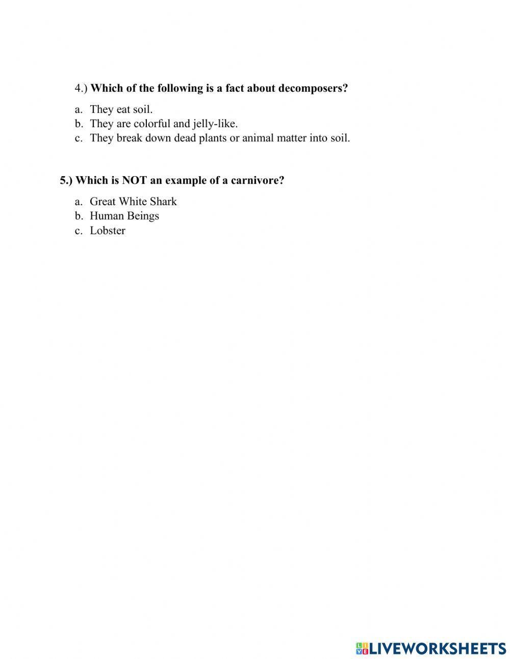 Food Webs and Food Chains