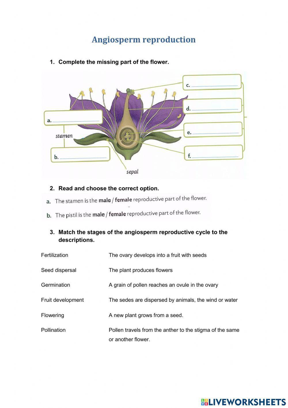 angiosperm-reproduction-1869665-cristinagondoselcoto