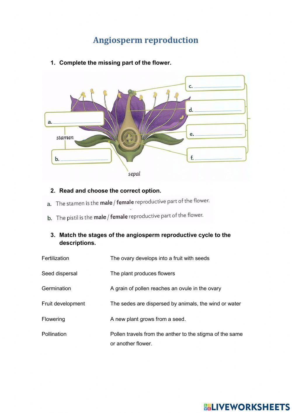 Angiosperm reproduction