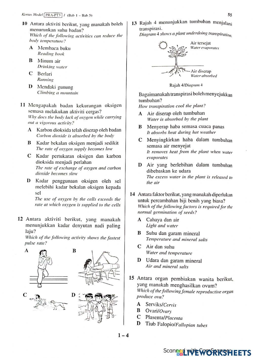 Sains Sains