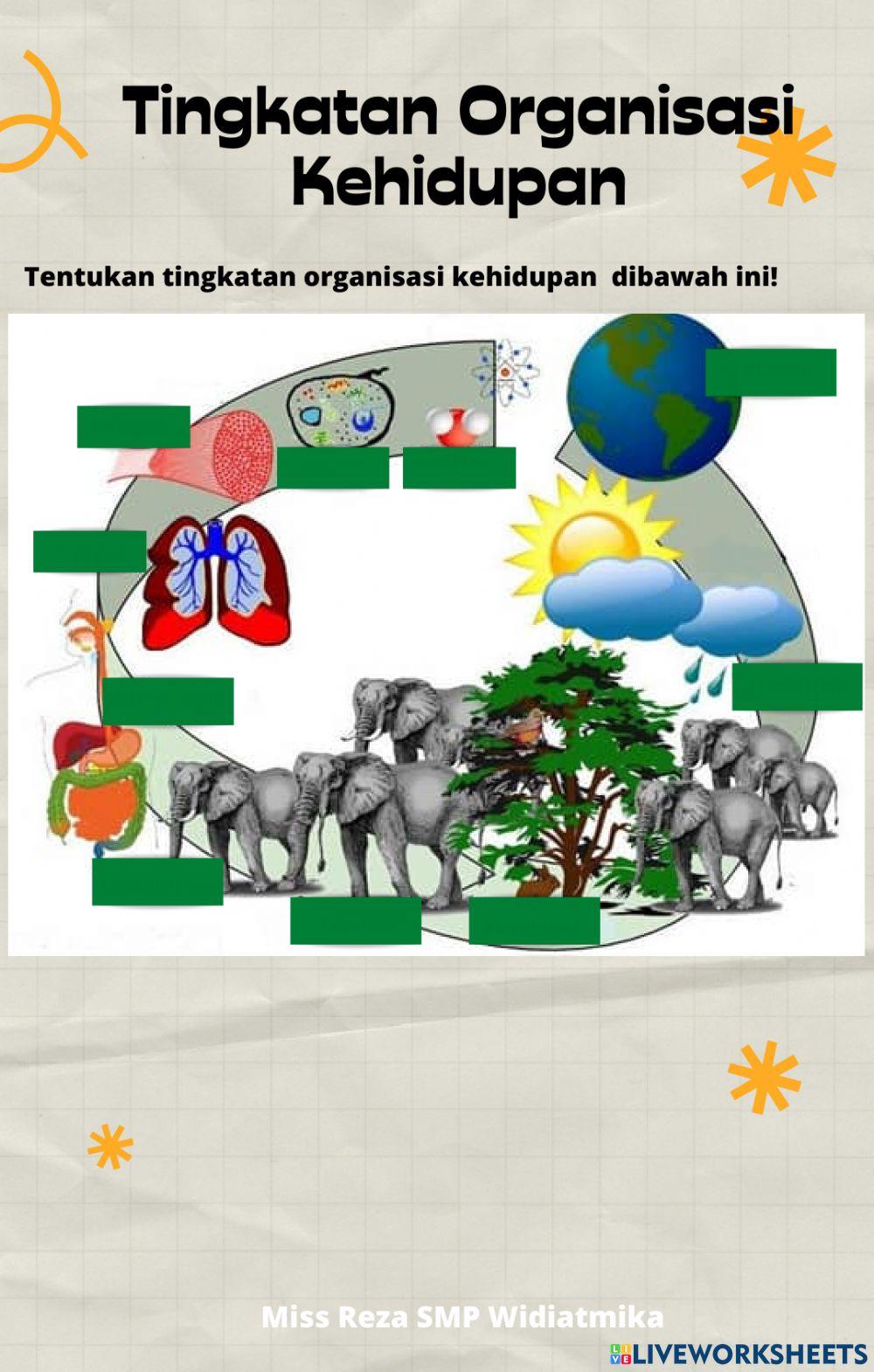 UH Organisasi Kehidupan