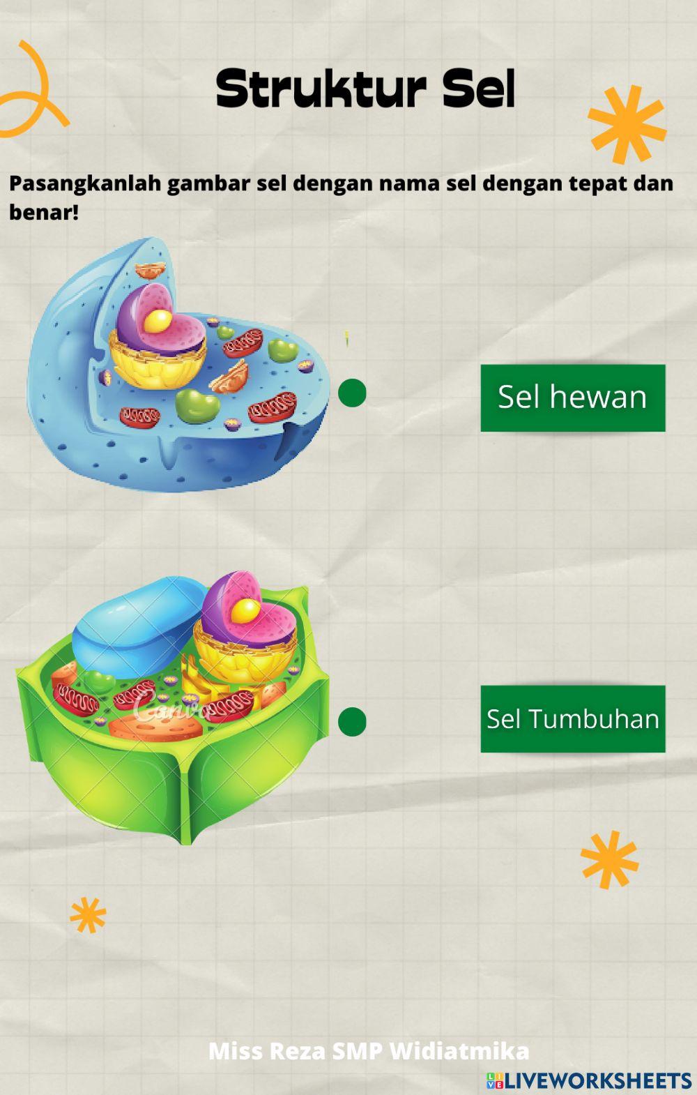 UH Organisasi Kehidupan