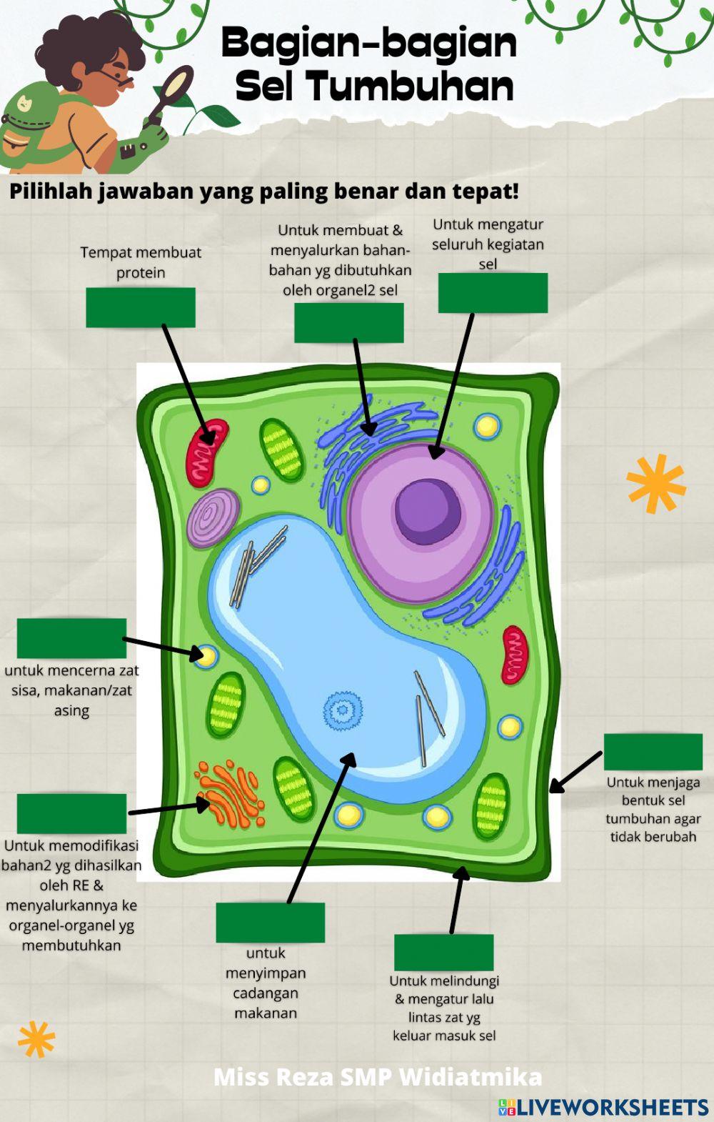 UH Organisasi Kehidupan