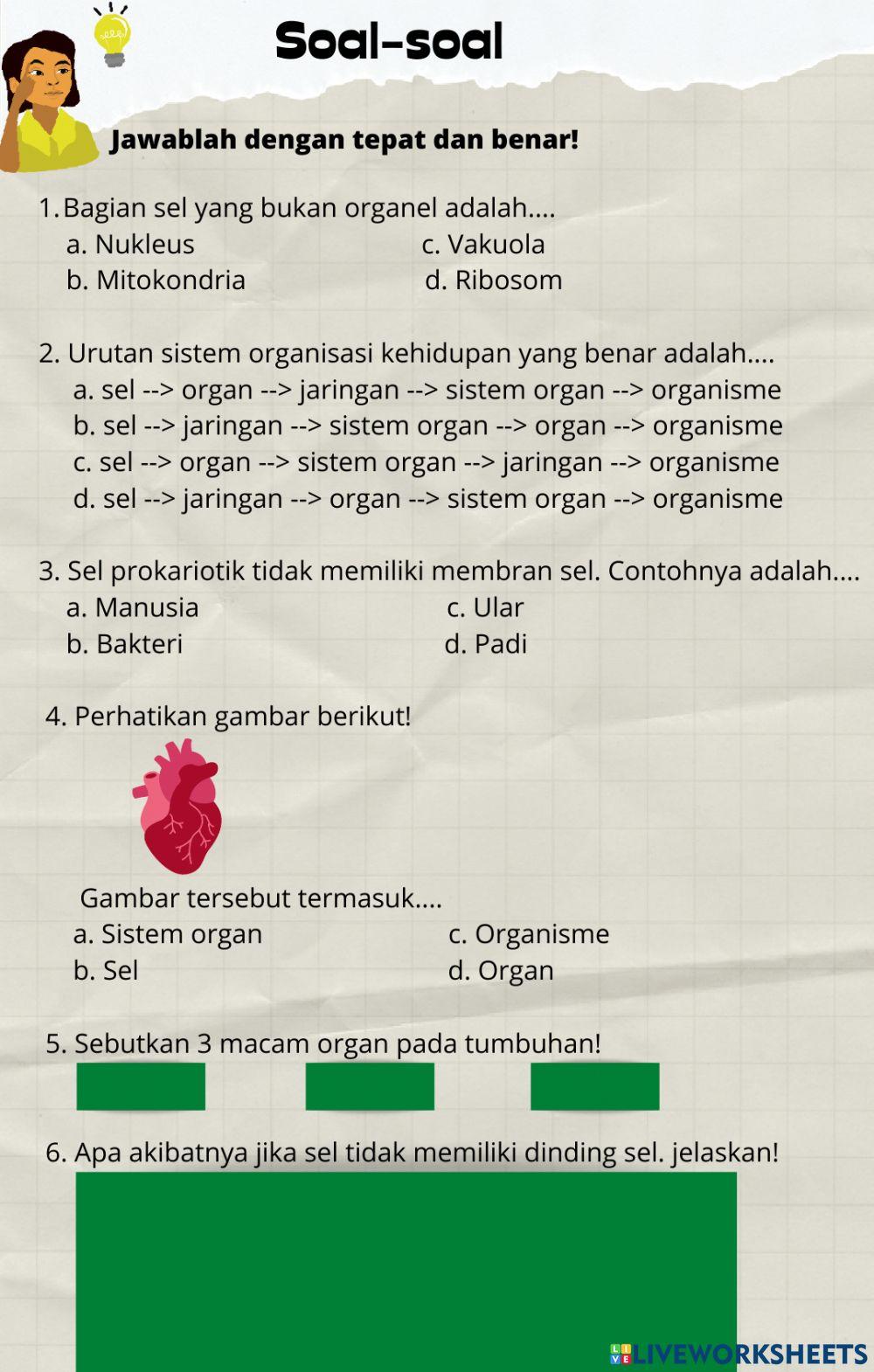 UH Organisasi Kehidupan