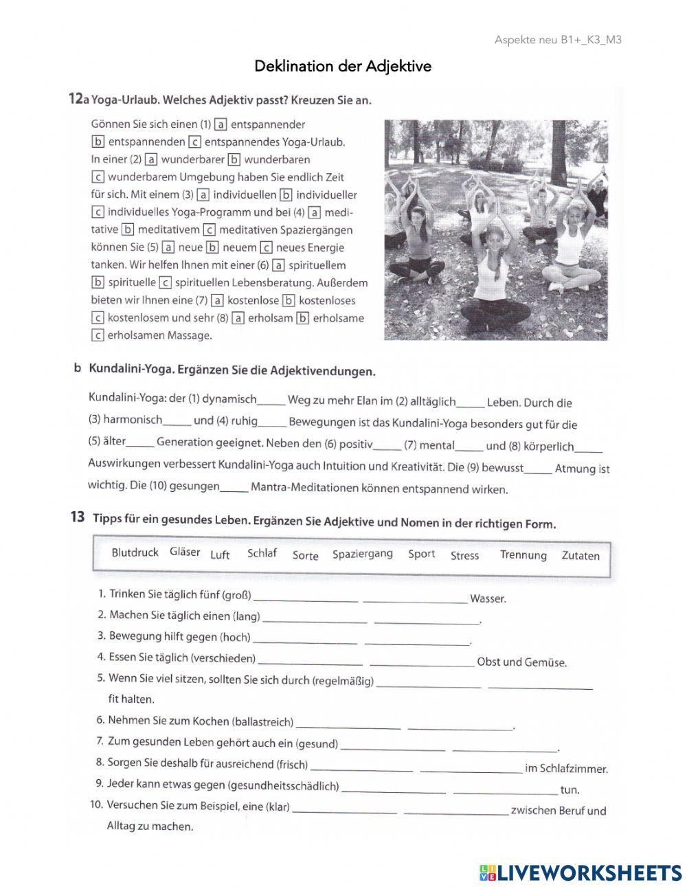 Aspekte neu B1+-K3-M3-Deklination der Adjektive