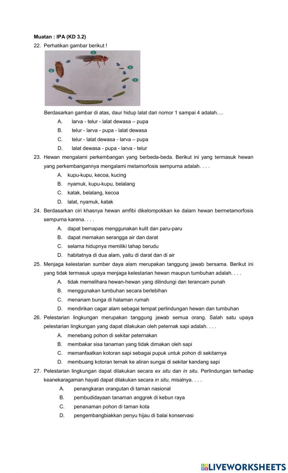 Penilian harian tema 6