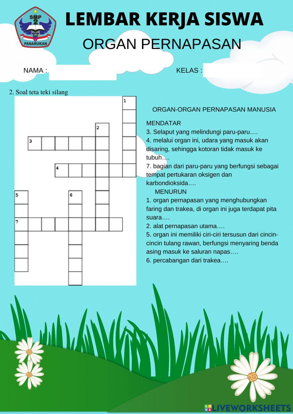 Sistem pernapasan manusia