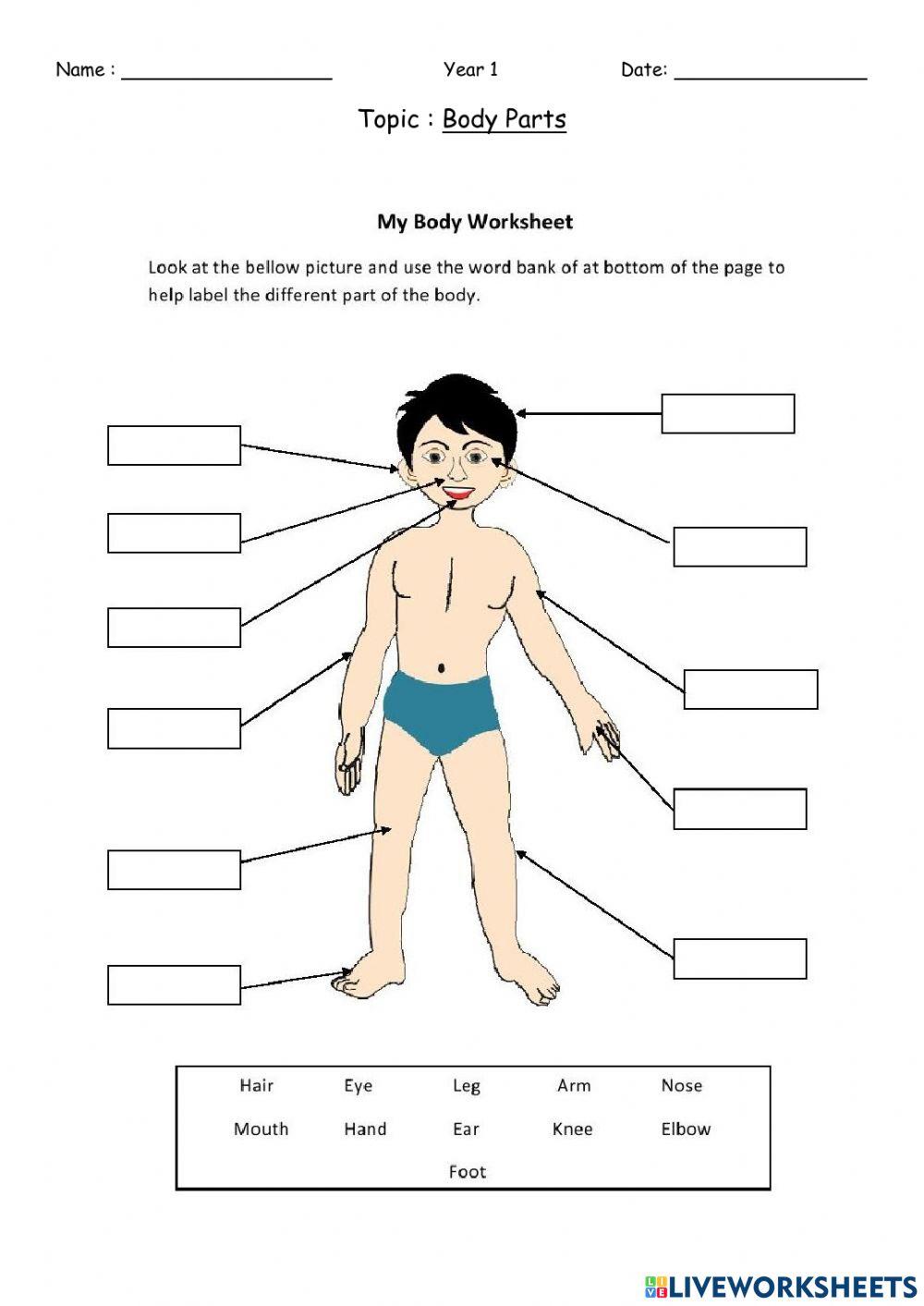 Body parts and its 5 senses