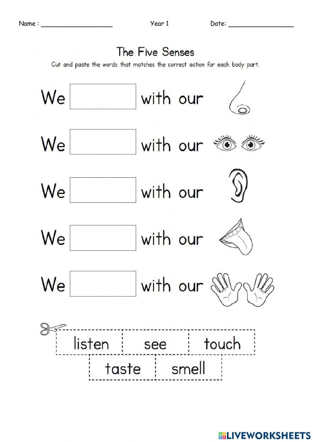 Body parts and its 5 senses