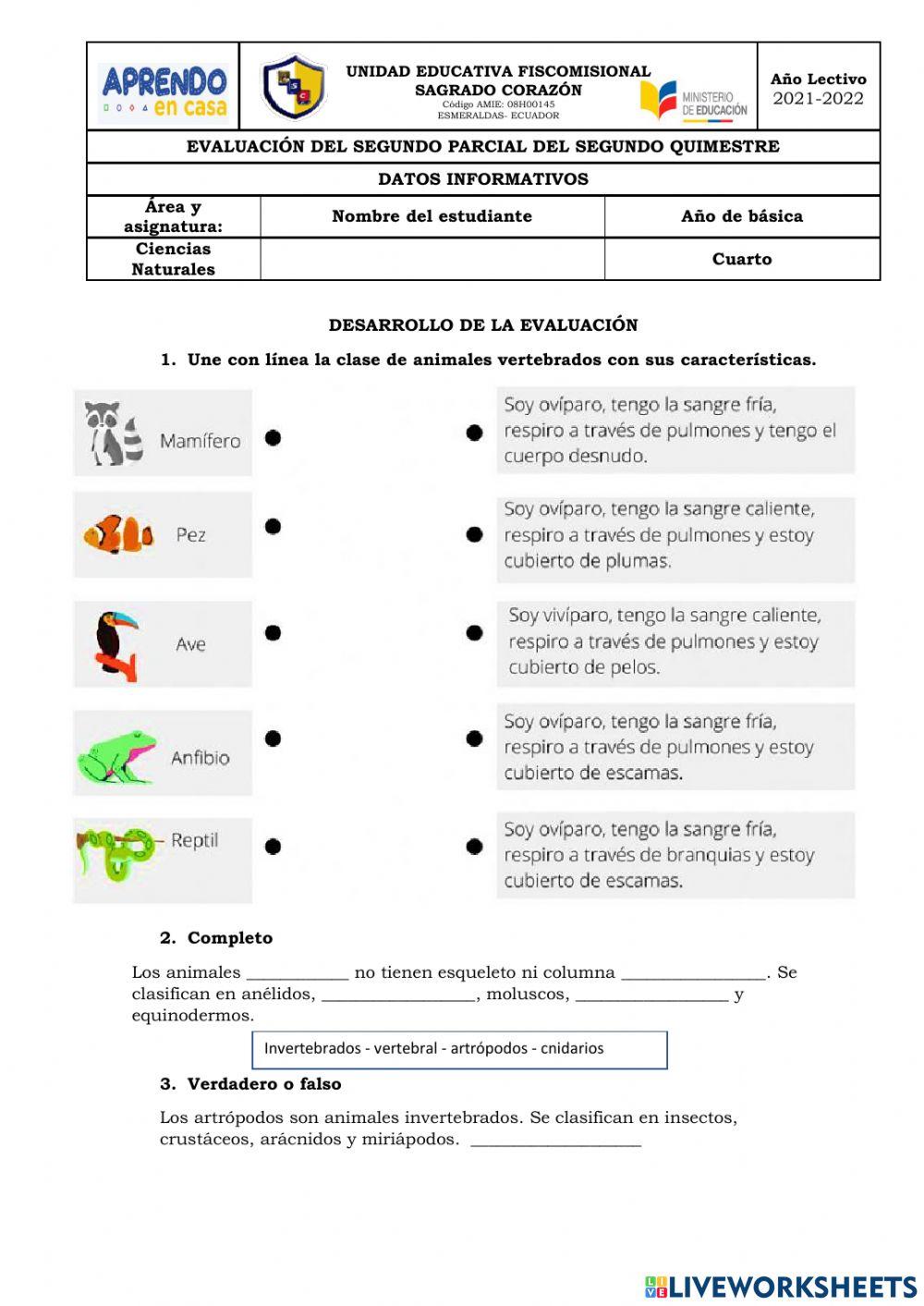 Vertebrados e invertebrados partes de la planta