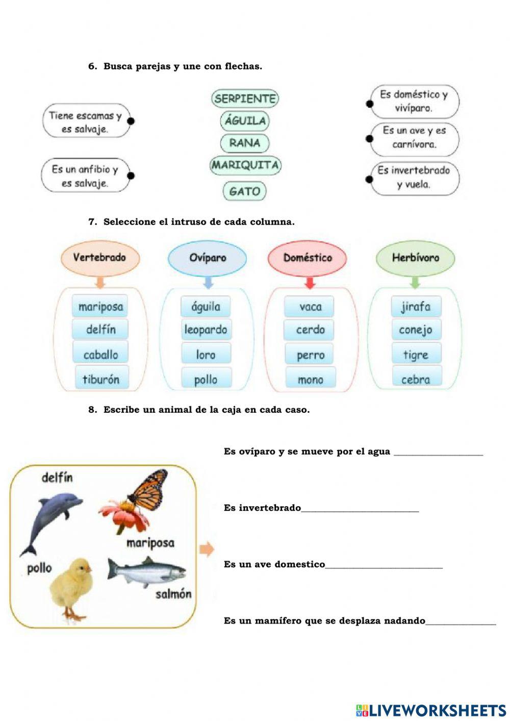 Vertebrados e invertebrados partes de la planta