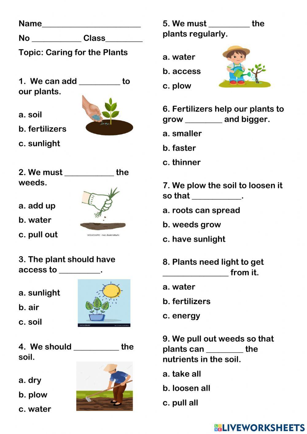 Caring for the Plants online exercise for Live Worksheets
