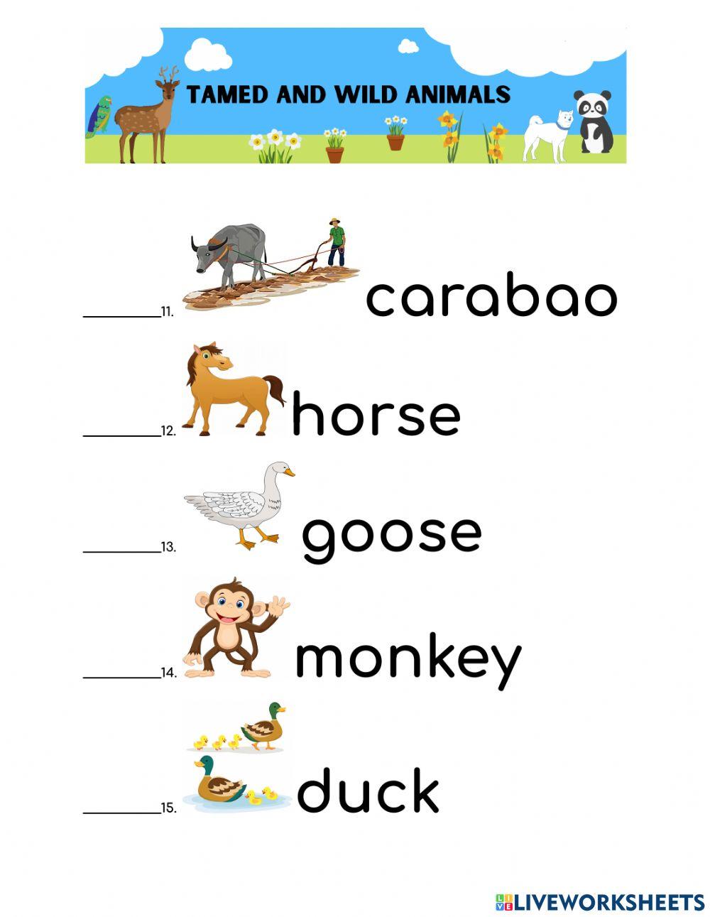 Pet,Farm and Zoo Animals Tame & Wild