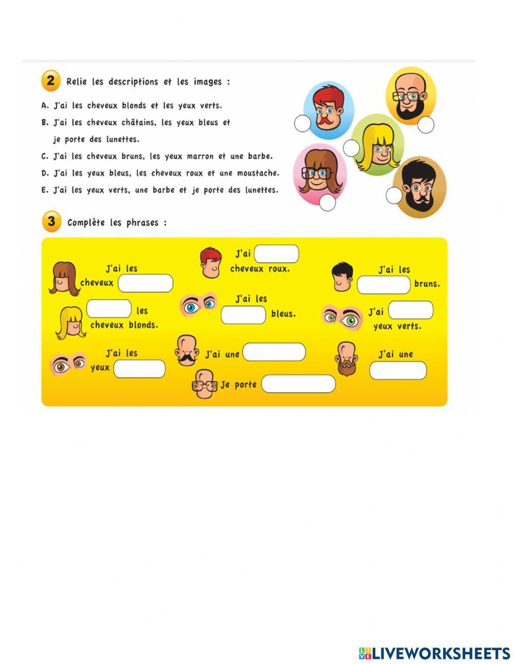 Description du visage