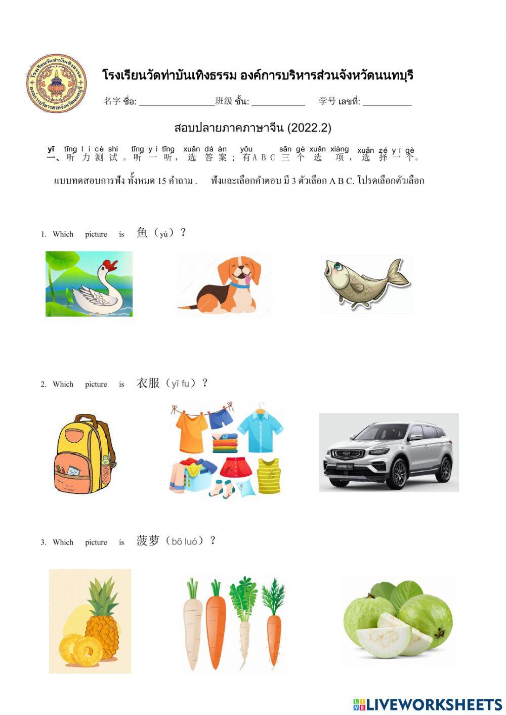 Chinese examination --2022.2  P4-P6