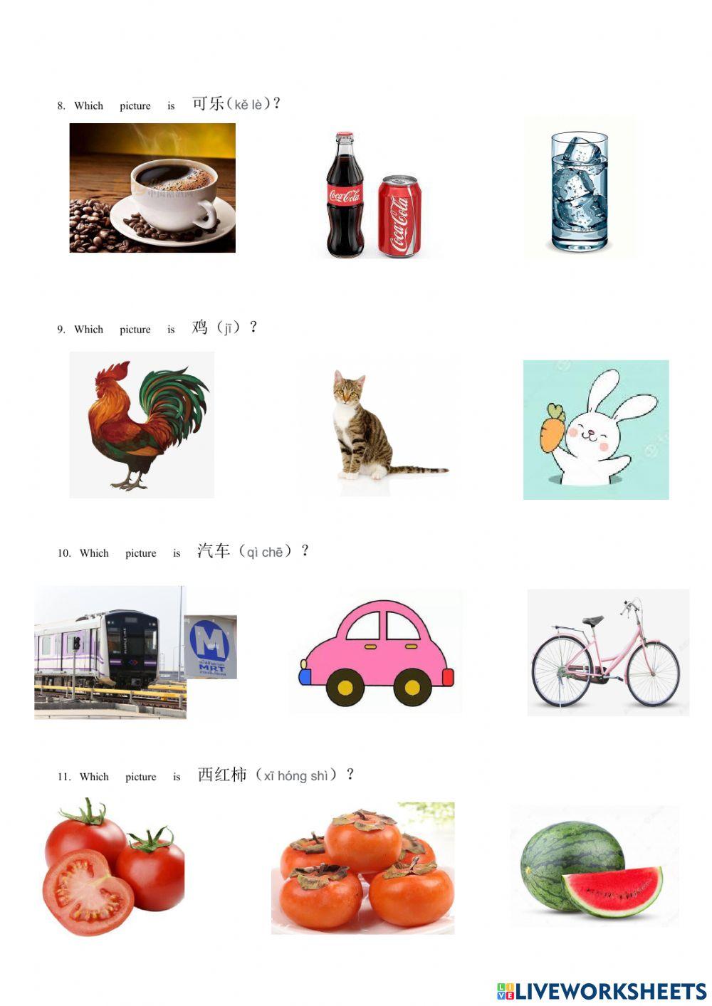 Chinese examination --2022.2  P4-P6