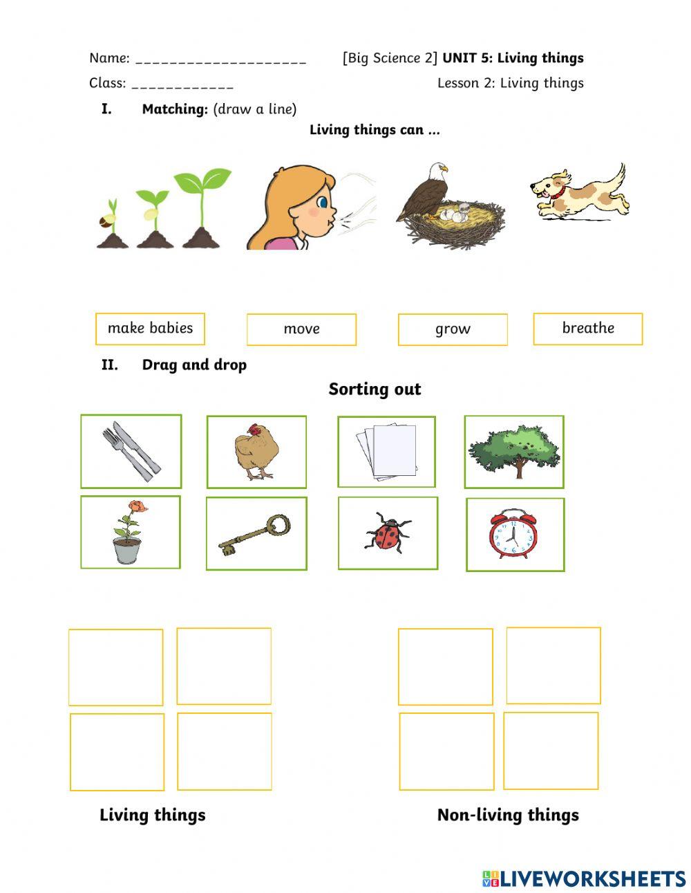 Big Science 2 Living things