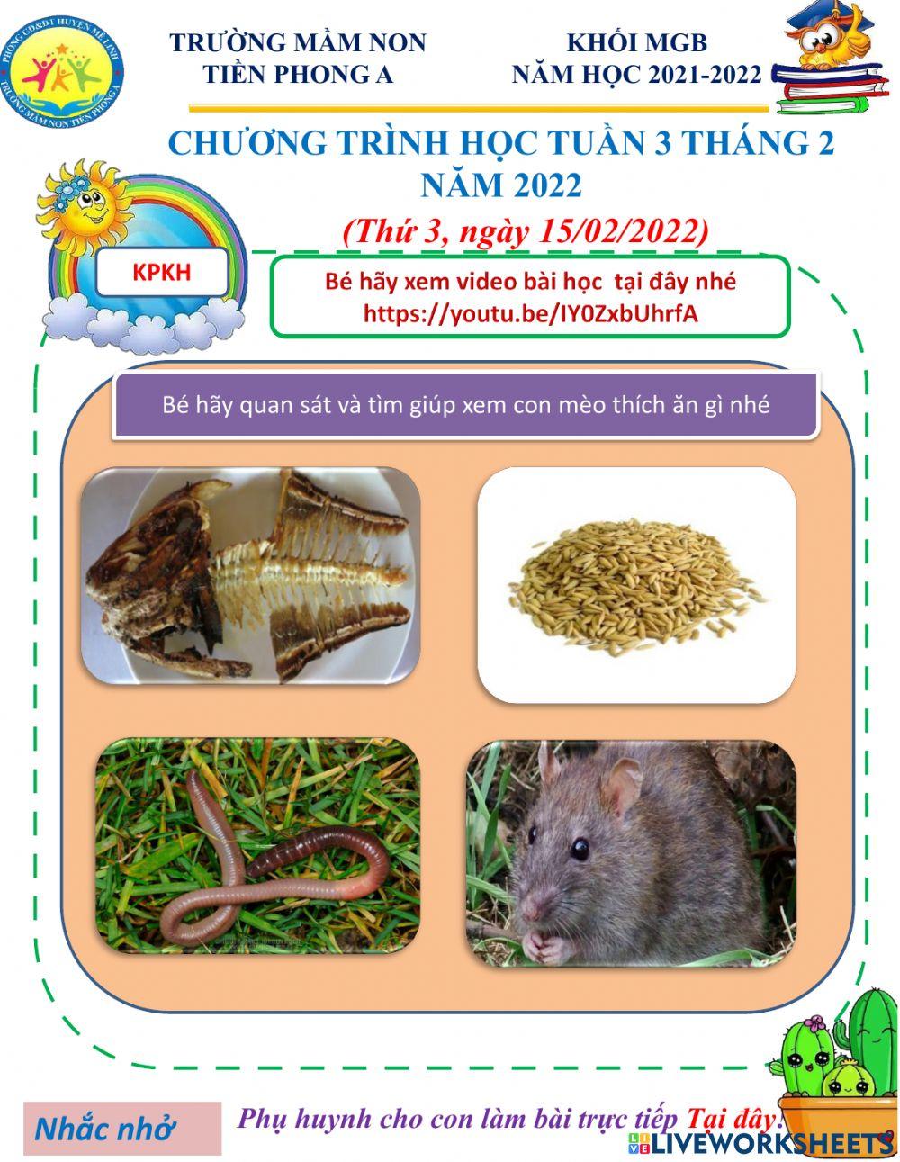 Bé hãy quan sát và làm theo yêu cầu của bài tập nhé